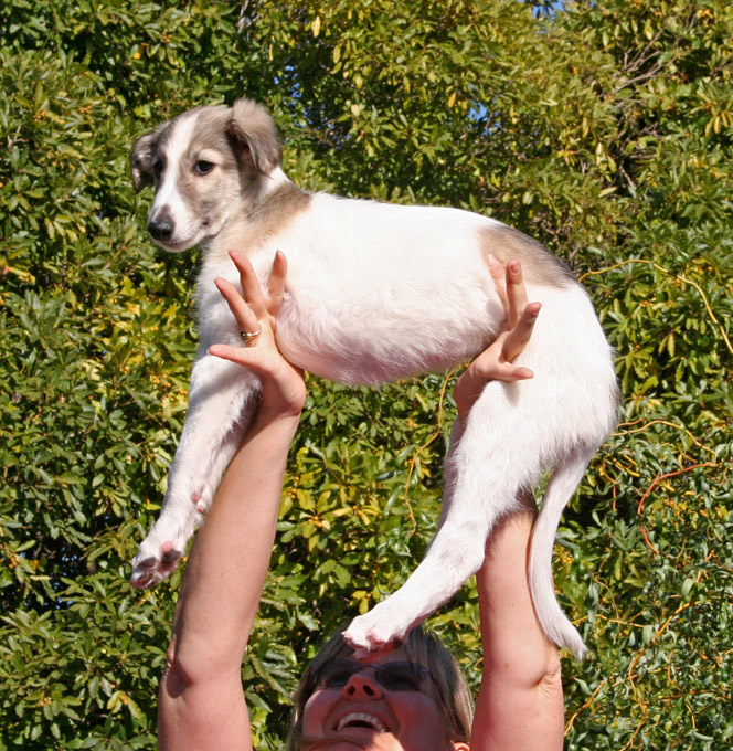 Surf Spots - Girl 2 Flying